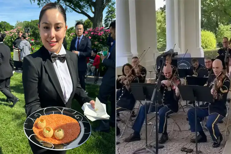 Saare Jahan Se Achha was played at the White House, Pani Puri was served to the guests