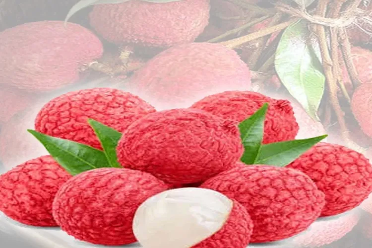 Bihar: Muzaffarpur's Shahi Litchi becomes expensive due to heat wave!