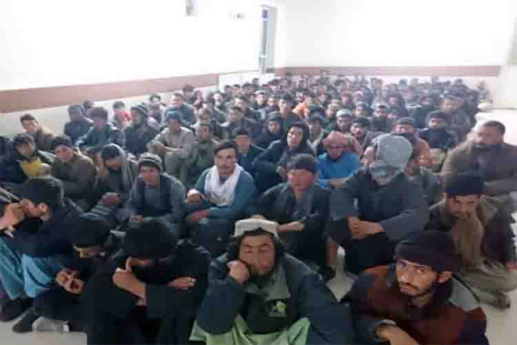 Pakistan: Security forces arrest 85 Afghan nationals
