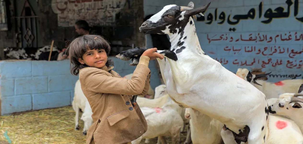 Buy goat online on Eid-ul-Azha