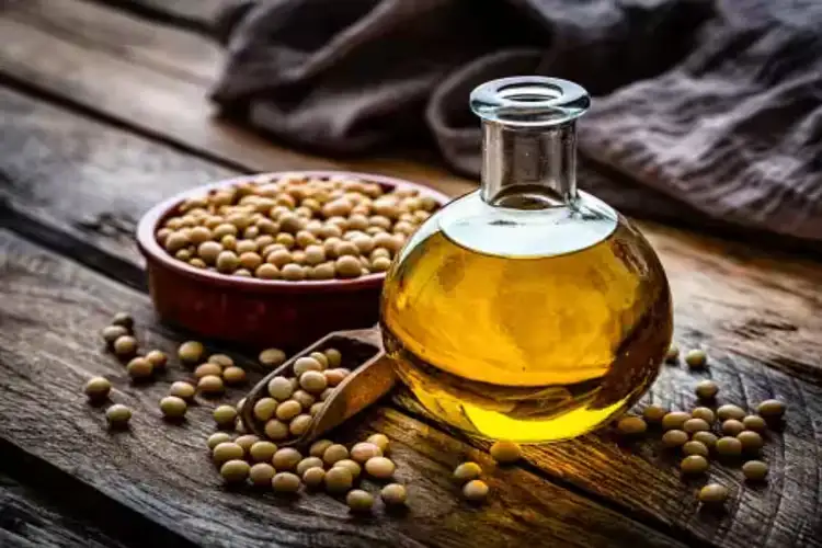 India's oilmeal exports decline amid global trade challenges