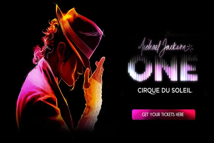 Michael Jackson  को गुजरे 15 साल पूरे, आज भी चल रही उनकी  official website photp soni website