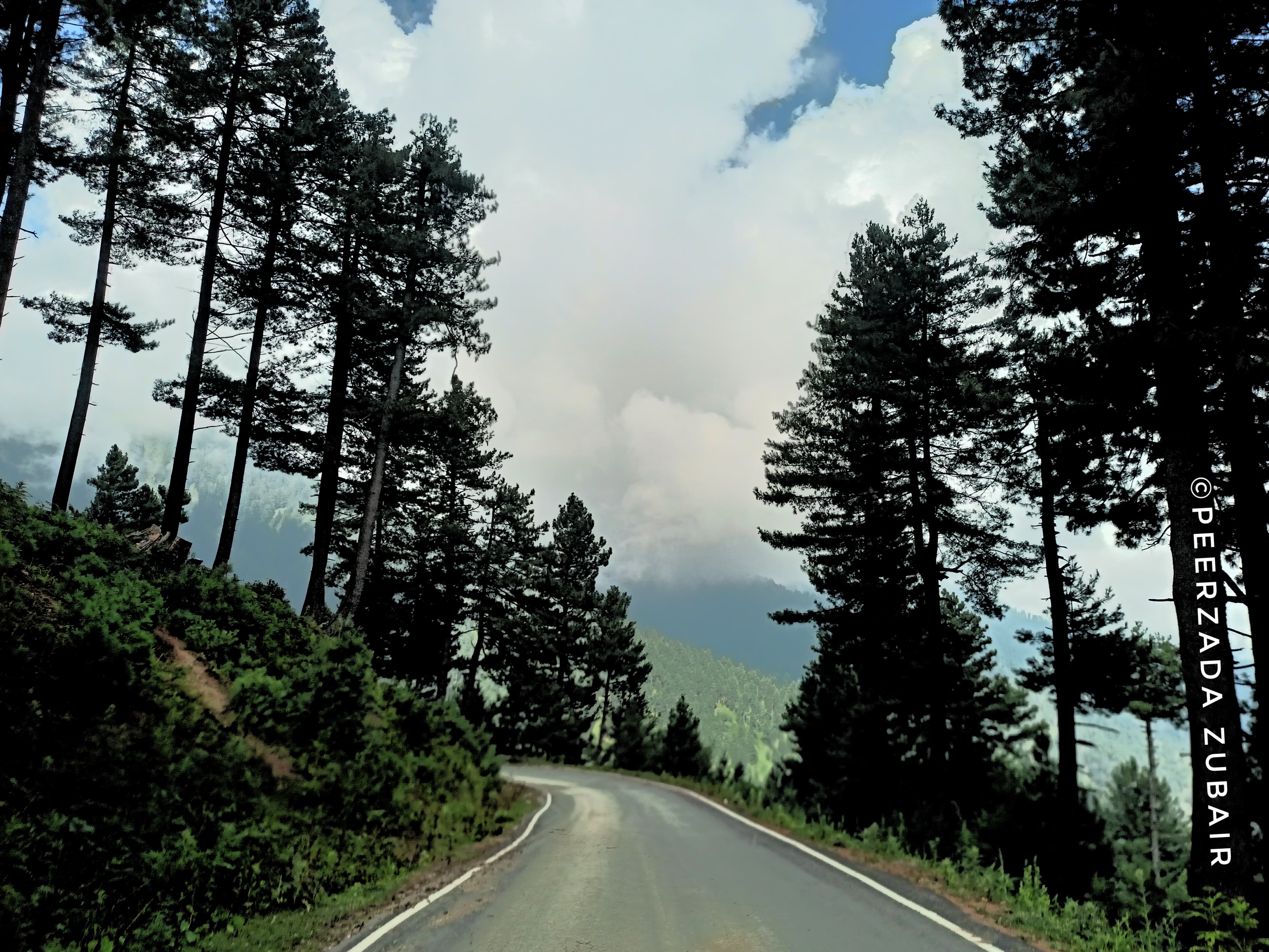 kashmir