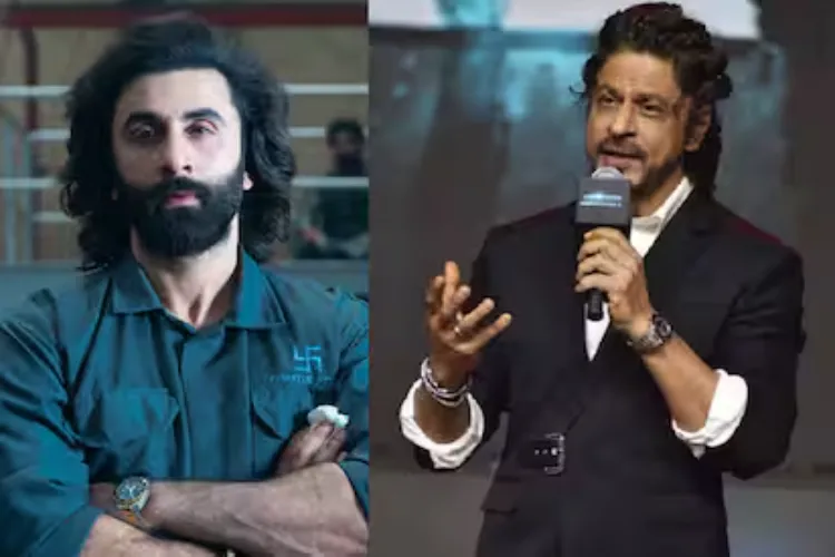 IFFM 2024 Shah Rukh Khan, Ranveer, Mammootty in the race for Best Actor