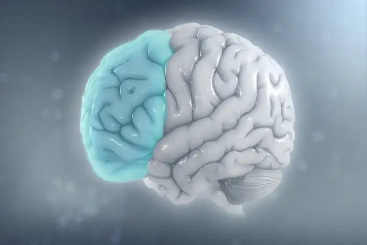 How insulin resistance affects the brain