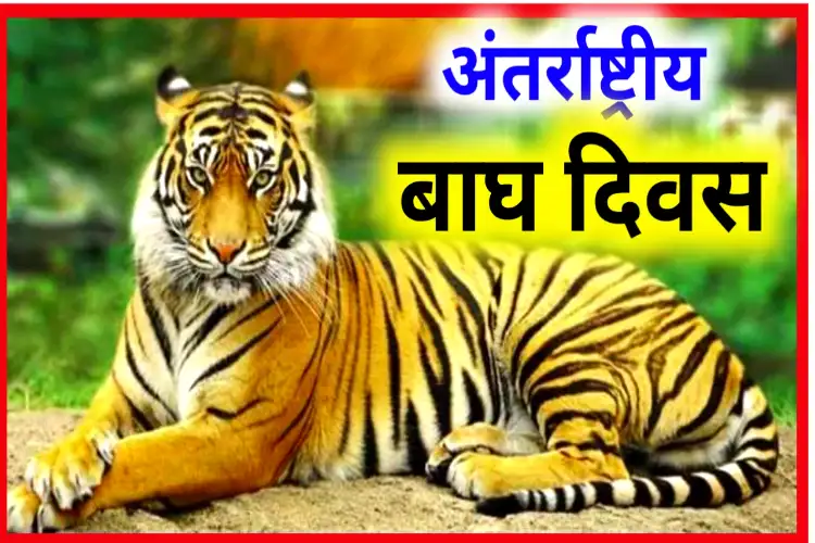International Tiger Day 2024: Theme, history, and significance
