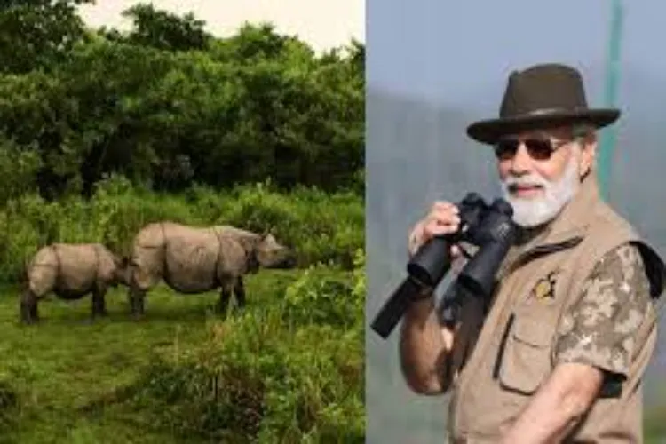 Tourists increased in Kaziranga after PM Modi's visit: Assam Chief Minister