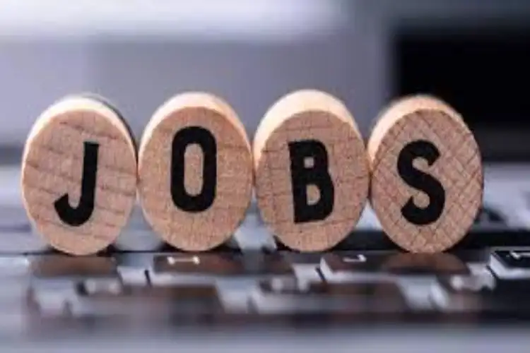 India’s white-collar jobs see 6 pc growth in September, IT sector bounces back