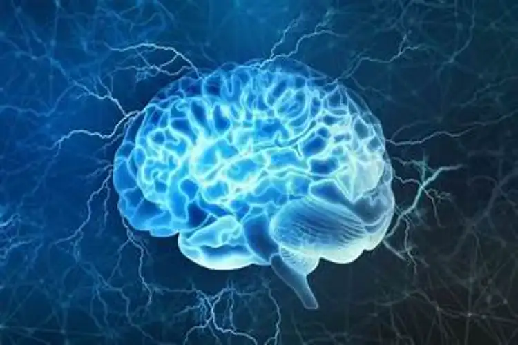 Study shows how human memory works, gets stored