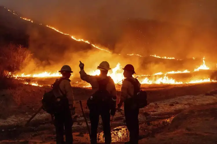 Tragic toll: At least 11 confirmed dead as wildfires ravage Los Angeles