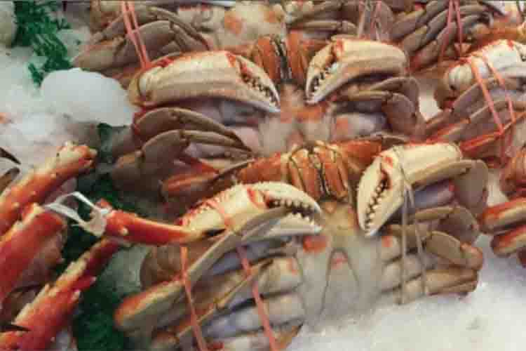 India's seafood exports cross Rs 60,000 crore mark in FY25 so far