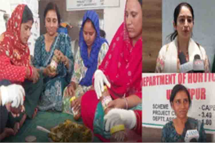 International Women's Day: With the help of government schemes, a handful of women took flight with courage, managed the household with skill