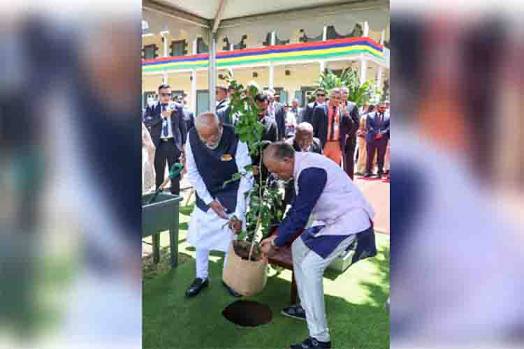 One tree in the name of mother: PM Modi planted a sapling in Mauritius