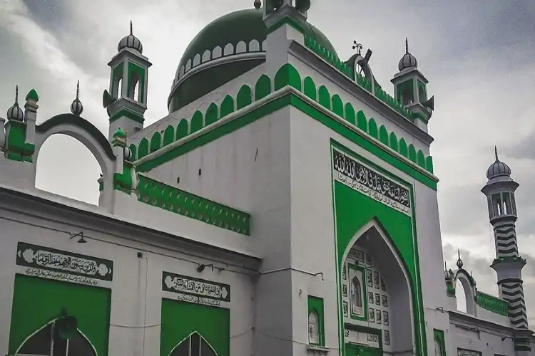 Sambhal Jama Masjid's painting doesn't matter what colour is used: Masjid Committee