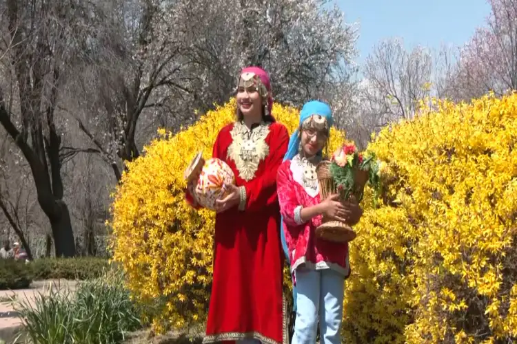 J-K: Almond blossoms draws tourists in Srinagar's Badamwari Garden