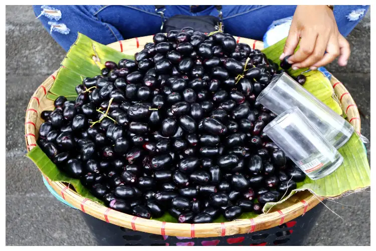 Eating 'Jamun' makes the body even healthier, know its countless benefits