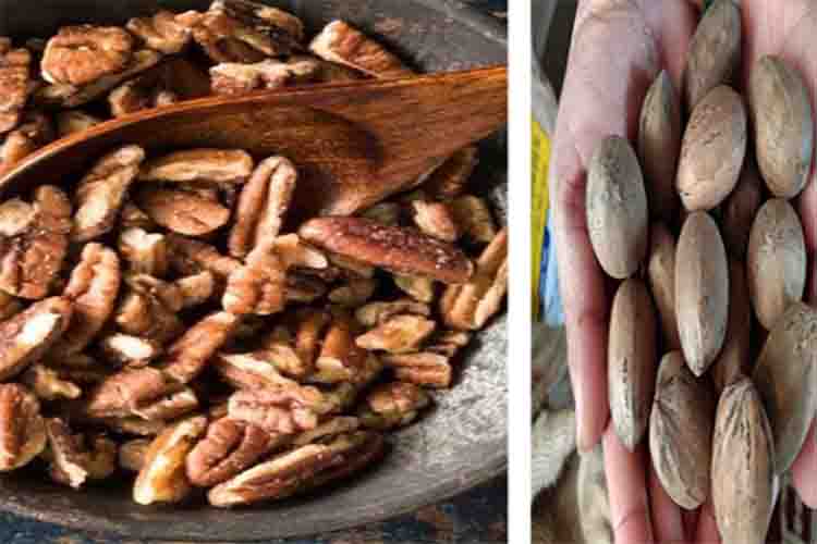 Just a handful of pecan nuts will take care of the heart, claim 2 ounces will do the trick