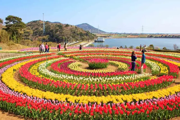 Srinagar: Tulip Garden opened for visitors