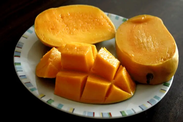 From Gir to Global: Gujarat’s Kesar mangoes redefining India’s mango trade