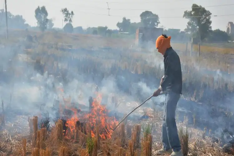 Farmers who burn stubble in Madhya Pradesh from May 1 will not get the benefit of welfare schemes: Yadav