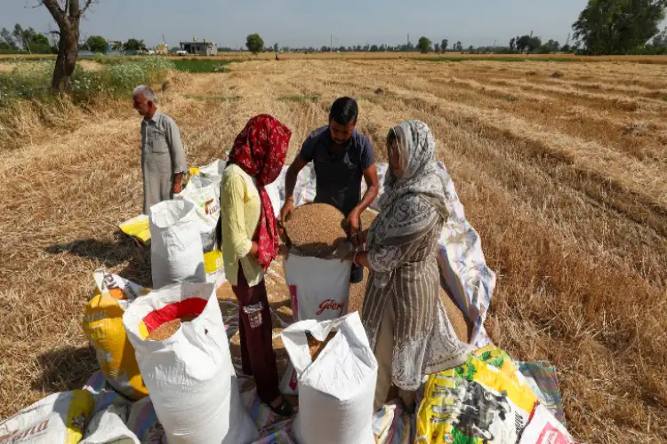 Farmers in JK harvest early as border tensions rise following Pahalgam terror attack