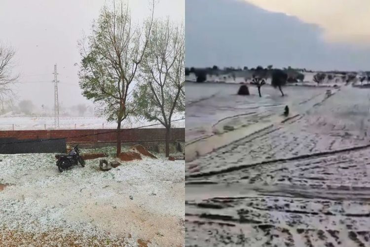 Hail fell in Churu, Rajasthan, rain at many places