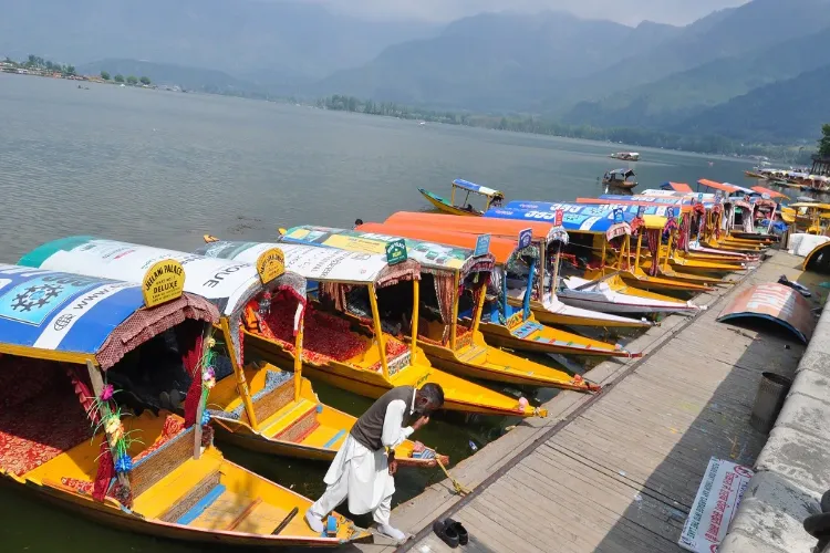 J-K : SDRF personnel conduct mock drill at Dal Lake following MHA directive