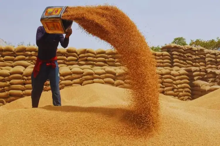 So far, government procurement of 2.86 crore tonnes of wheat, more than last year