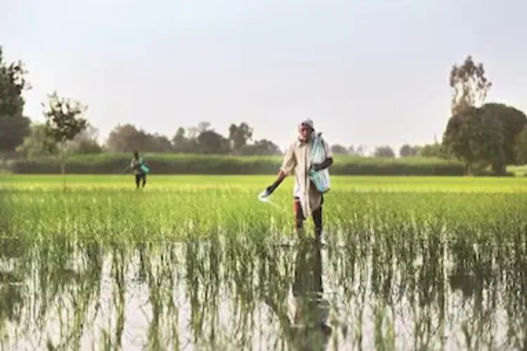 Government should provide relief to farmers affected by untimely rains in Maharashtra: Jayant Patil