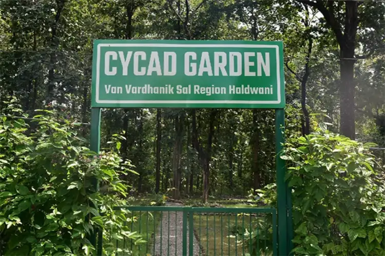Uttarakhand Forest Department establishes state's first Cycad Garden at Haldwani