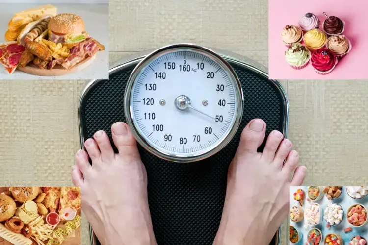 High-fat diet sets off metabolic dysfunction in cells, leads to weight gain: Study