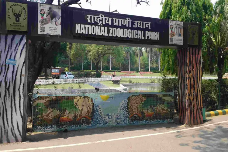 Night safari, combo tickets with Purana Qila on cards for Delhi zoo revamp