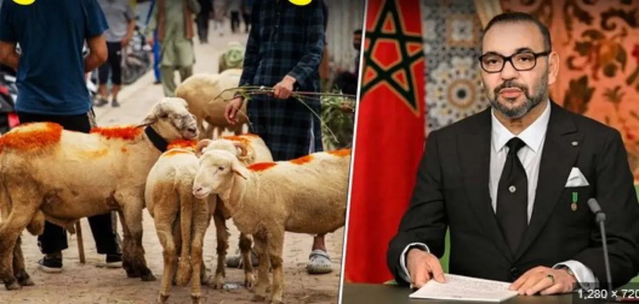Ban on sacrifice on Bakrid in Morocco battling severe drought