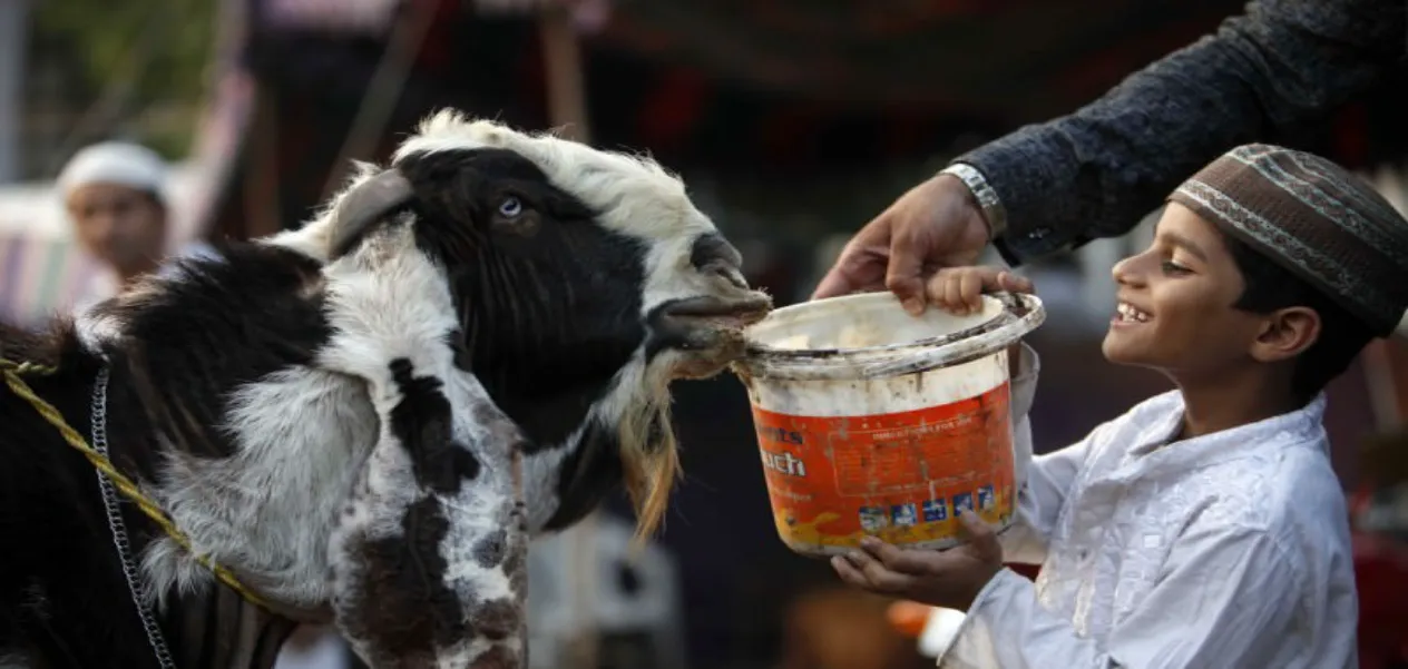 Qurbani in Islam: Not limited to Eid-ul-Adha only