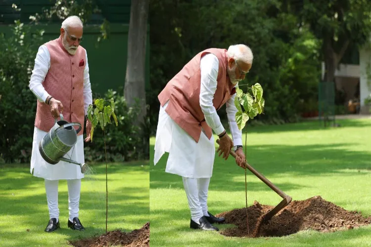 On World Environment Day, PM Modi planted a vermilion plant, said- it is a symbol of women's bravery
