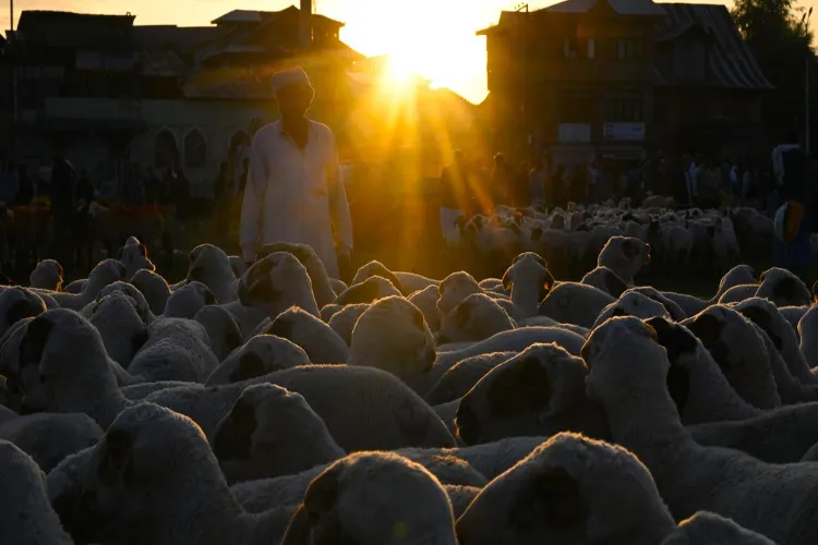 Andhra Pradesh government issued guidelines during Eid-al-Azha