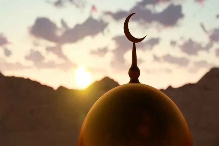 Minimising animal sacrifice on Eid-ul-Adha: A comprehensive approach