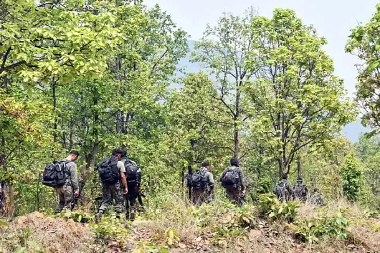 Chhattisgarh: Eight IPS officers transferred, posted in Naxal-affected areas