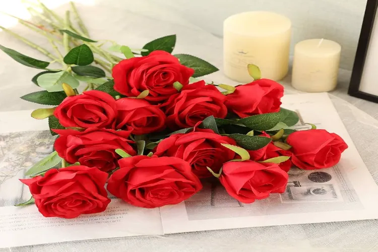 Let the fields keep smelling good, let the dreams keep blooming: this is the real beauty of the red rose