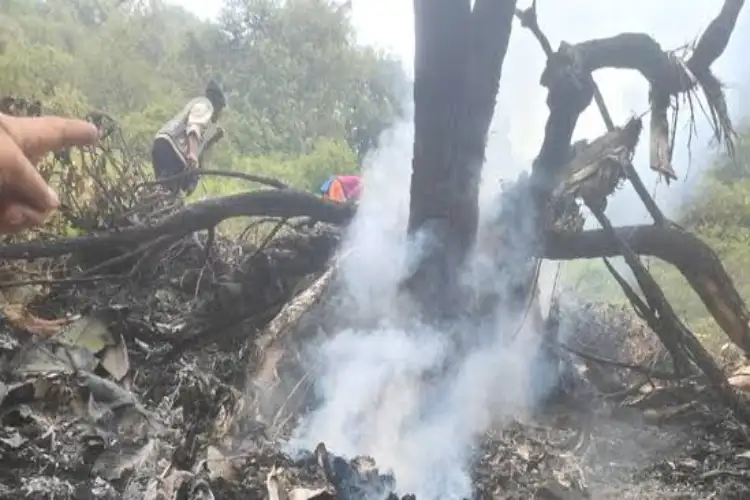 7 killed in Uttarakhand chopper crash: SDRF