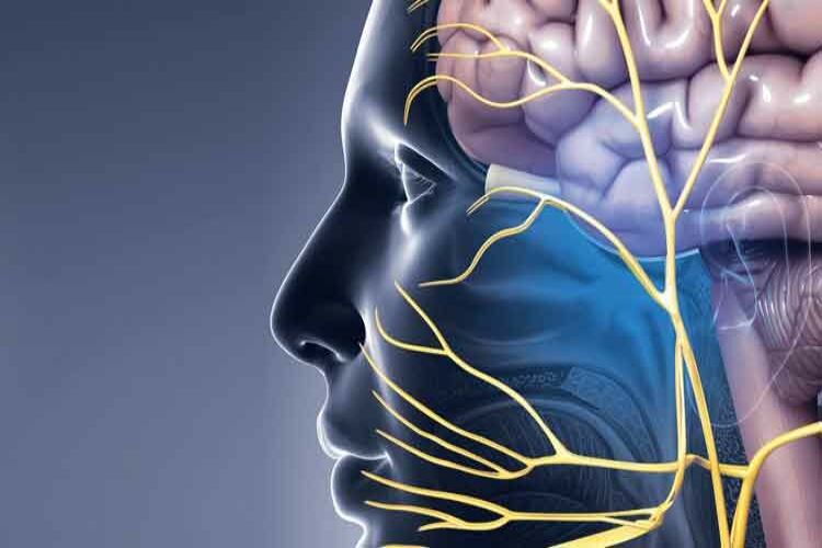 Warning! Know what is 'Trigeminal Neuralgia' and how Bollywood superstars are battling it