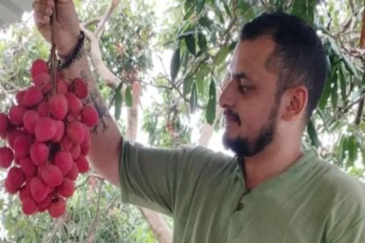 India sends first consignment of litchi from Punjab to Doha and Dubai: APEDA