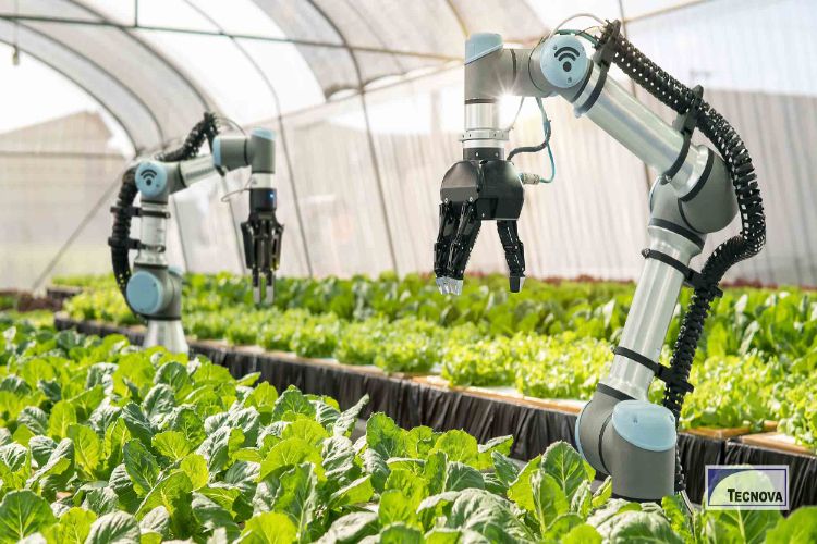 Technology Vision 2030: A step towards transformation through innovation in Indian agriculture