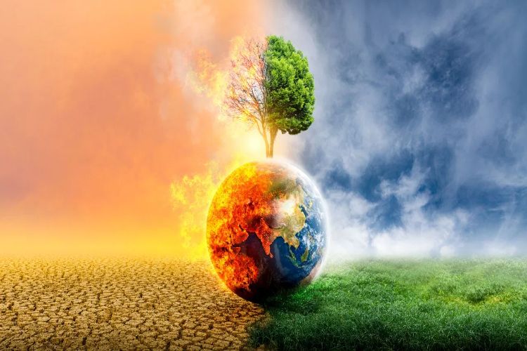 Earth's temperature is rising because of cities