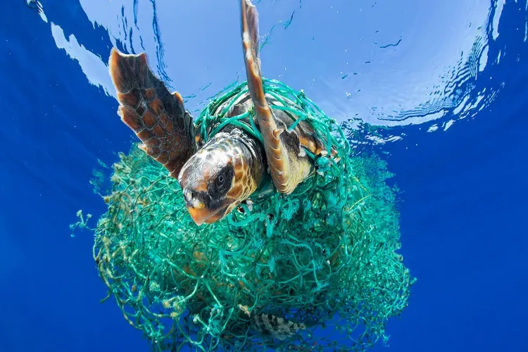 Shadow of plastic: The invisible danger looming over life