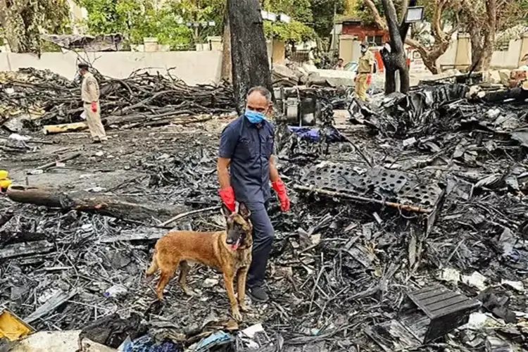 Army deployed around 150 personnel within minutes after Air India crash: Official