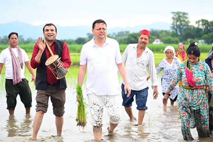 Uttarakhand: CM Pushkar Singh Dhami participates in paddy sowing, showcases commitment to farmers and cultural heritage