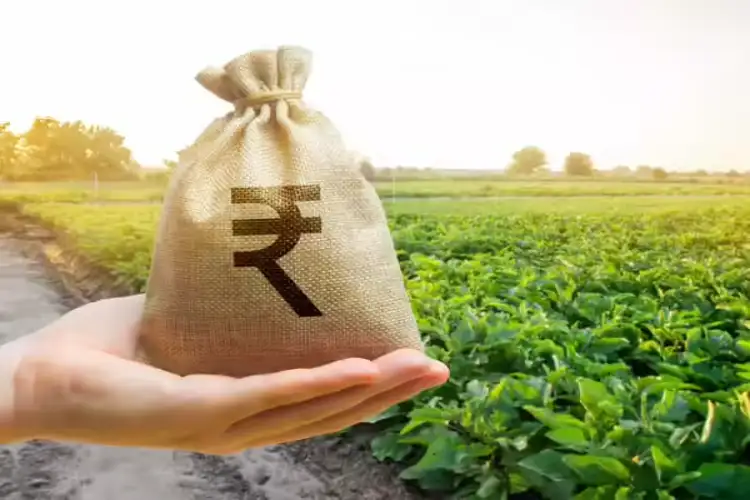 Early Monsoon to Boosts India's Crops, Agrochemicals Sector Poised for Recovery: Report