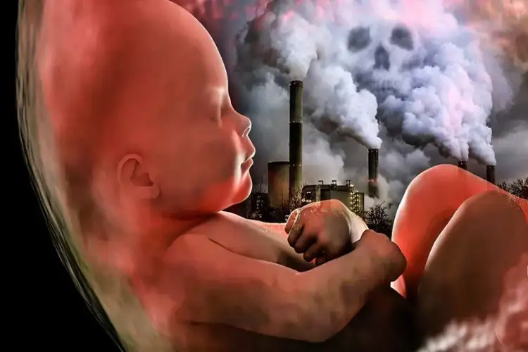 Air pollution not only affects the lungs but also the brain: WHO