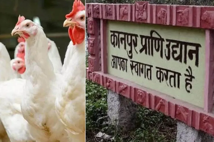 Gorakhpur and Kanpur zoos which were closed for 56 days after bird flu, are now open again